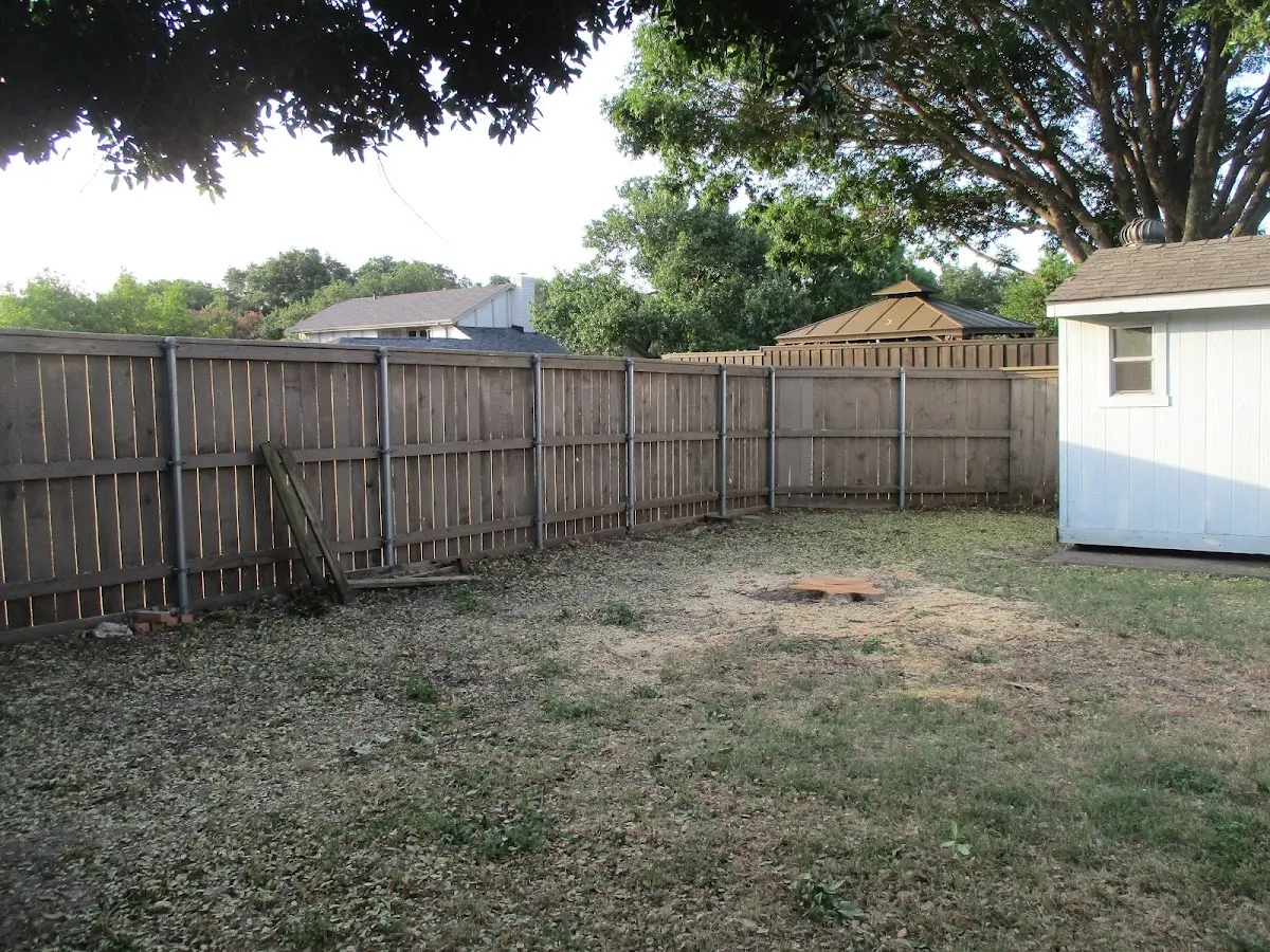 Cleared yard after professional tree removal in Hanford